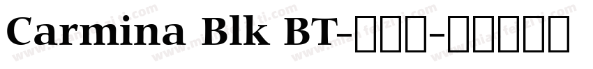 Carmina Blk BT-普通西字体转换